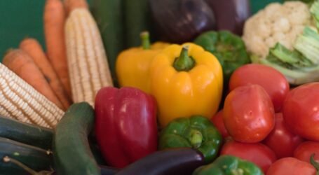 Kenya Seeks Direct Entry to U.S. Agricultural Market to Boost Farmer Earnings