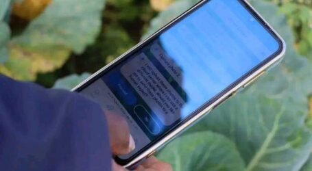 AI in agriculture market: How the industry is emerging as an investment opportunity