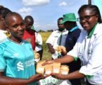 KALRO Mwea unveils four new climate-smart rice varieties to boost farmers’ yields