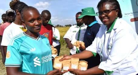 KALRO Mwea unveils four new climate-smart rice varieties to boost farmers’ yields