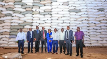 Government to buy all paddy and milled rice, pay farmers in 30 days