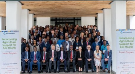 Kenya shifts to soil-health-centered agricultural transformation