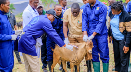 New FAO handbook empowers veterinary services to manage animal health emergencies