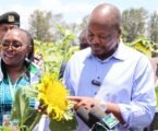 Kagwe launches sunflower–soybean drive to cut Sh145 billion edible oil import bill