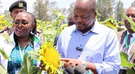 Kagwe launches sunflower–soybean drive to cut Sh145 billion edible oil import bill