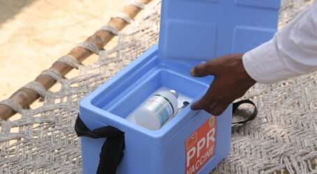 Kenyan livestock farmers to benefit first-ever combination vaccine against small ruminant diseases