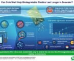 Crab shell by-products could help regulate the marine lifetime of biodegradable plastics, study
