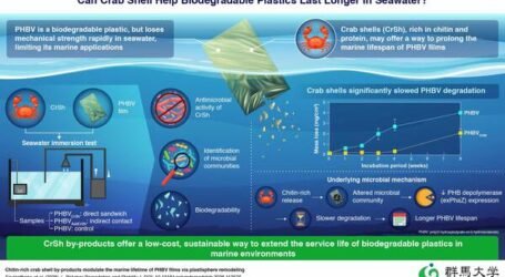 Crab shell by-products could help regulate the marine lifetime of biodegradable plastics, study