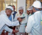 Government targets sugar mills as new source of electricity and biofuel