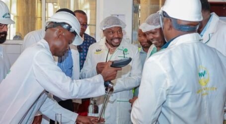 Government targets sugar mills as new source of electricity and biofuel