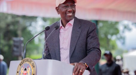 Government steps up coffee revival drive as Kenya targets tripling output and boosting farmer earnings