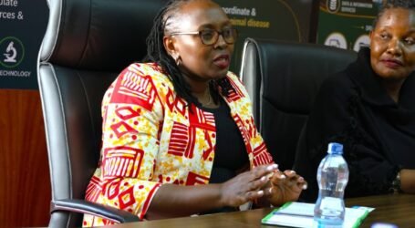 KALRO hosts workshop to advance traditional maize-processing technology in Kenya