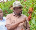 Government eyes bixa production boost to unlock processing capacity, create jobs