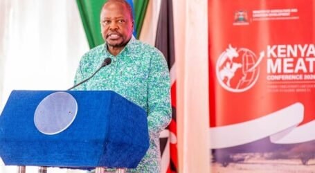Kagwe warns antimicrobial resistance could derail Kenya’s global meat trade