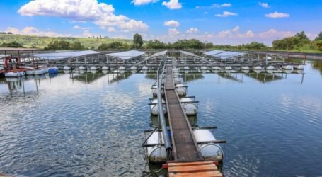 Leading farms in Trans Nzoia showcase Kenya’s technology-driven agriculture future