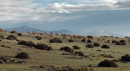New IUCN guidance calls for ecological integrity to guide global biodiversity and climate action